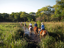 Brazil-Pantanal-Pantanal - Wildlife Safari